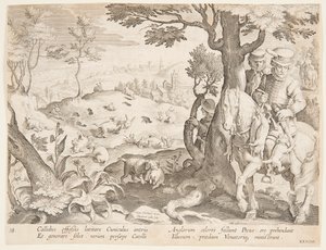 Chasse au lapin