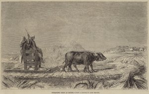 Broyage du maïs en Égypte - after Jean Leon Gerome