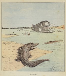 Les Caïmans - after Louis Charles Bombled