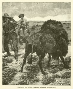 Une chasse aux bisons - after Richard Caton II Woodville