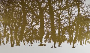 Arbres de vie - angus hampel