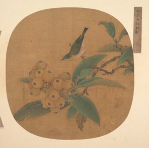 Oiseau sur un loquat - anonymous 