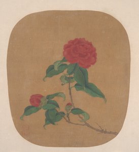 Fleurs de camélia - anonymous 