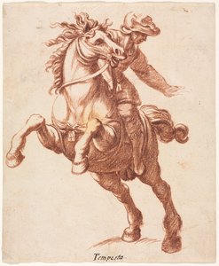 Cheval cabré et cavalier