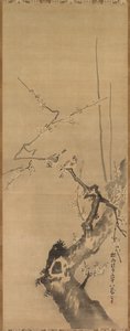 Moineaux sur un prunier en fleurs - attributed to Kano Tan’yū