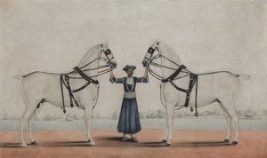 Un palefrenier tenant deux chevaux de carrosse - attributed to Shaikh Muhammad Amir of