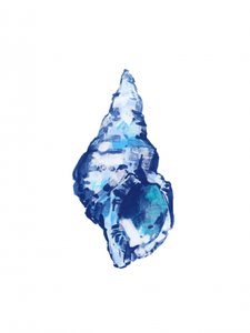 Coquillage bleu abstrait - cartissi