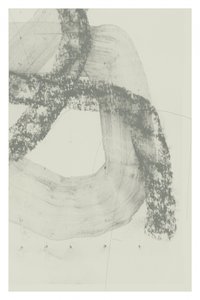 Marquages abstraits gris