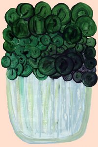 Plante d