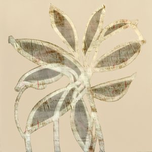 Feuilles abstraites texturées - cartissi
