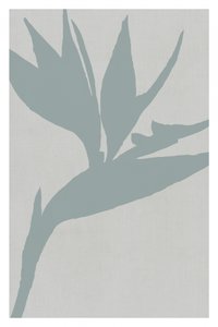 Silhouette d