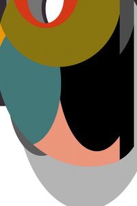 Des courbes audacieuses et colorées