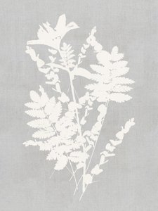 Étude de silhouettes botaniques - cartissi