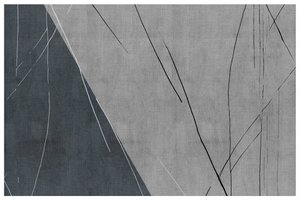 Lignes abstraites gris clair - cartissi