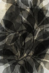 Feuillage sombre en couches