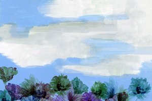 Un ciel fleuri de rêve