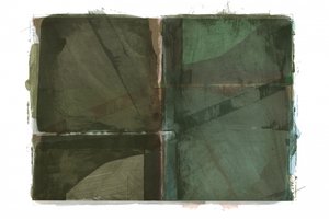 Nuances de vert terreux - cartissi