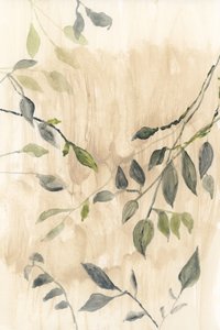 Douces feuilles vertes - cartissi