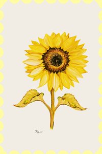 Fleur de tournesol dorée - cartissi