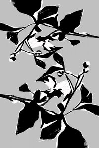 Motif botanique graphique