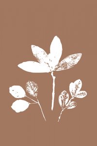 Feuilles contrastées