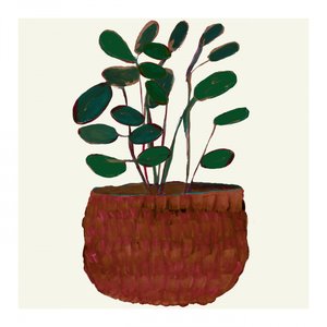 Plante d
