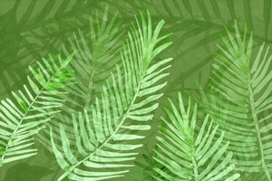 Feuilles de palmier tropicales luxuriantes - cartissi