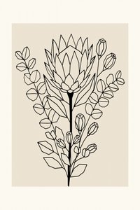 Protea et eucalyptus minimalistes