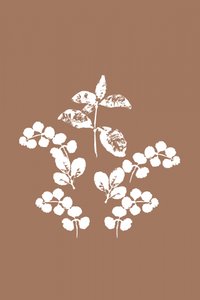 Feuilles blanches minimalistes - cartissi