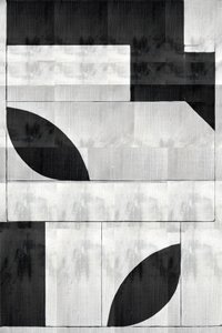Formes organiques monochromes - cartissi