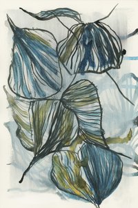 Feuilles bleues bio - cartissi