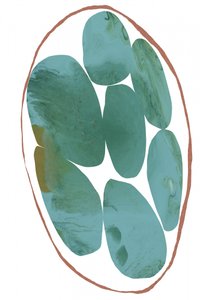 Pierres précieuses bio couleur bleu sarcelle