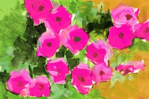 Fleurs du jardin rose