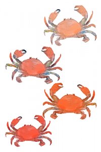 Fruits de mer, crabes, aquarelle - cartissi