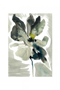 Fleur sereine à l