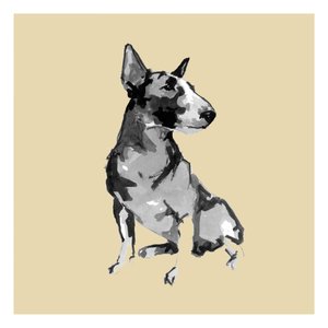 Bull Terrier assis - cartissi