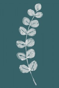 Feuilles d