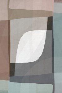 Flux géométrique fluide - cartissi