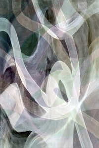 Douces volutes bio - cartissi