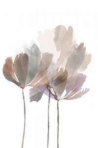 Fleurs aux couleurs aquarellées