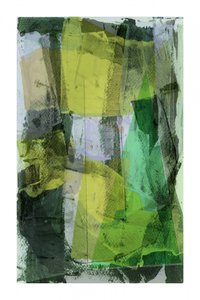 Des nuances de vert éclatantes - cartissi