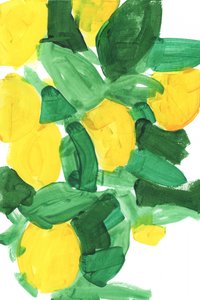 Feuilles de citron aux couleurs vives - cartissi