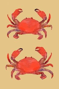 Des crabes d