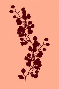 Une silhouette botanique chaleureuse - cartissi