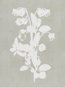 Fleurs botaniques blanches - cartissi