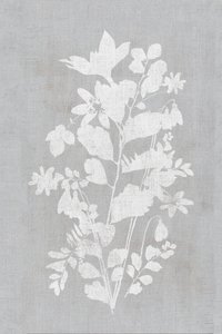 Silhouette florale blanche - cartissi
