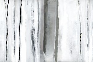 Abstraction de la Forêt Blanche - cartissi
