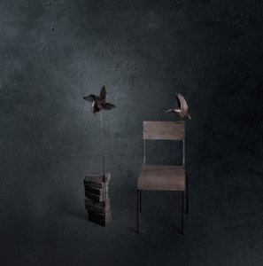 Oiseau noir, chaise vide
