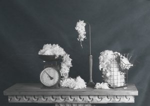 Nature morte vintage en coton - chenyi wang