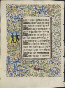 Feuille d